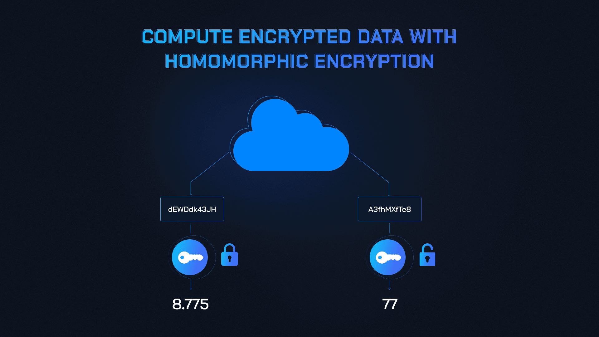 Fully homomorphic encryption crypto (96) foto